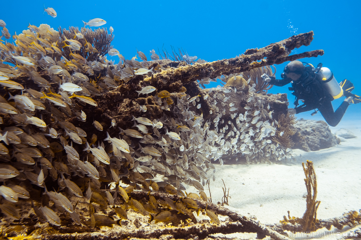 Destination-Aventure-st-martin-caraibes-9718 (1)