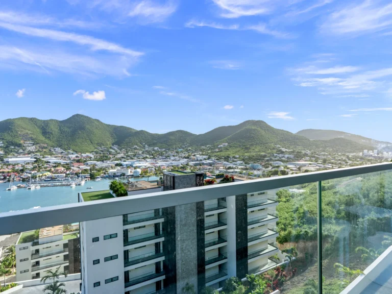 The Hills Residence D-438 (18)